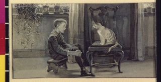 Illustration for article titled The Library Of Congress would like to share a selection of free cat images with you